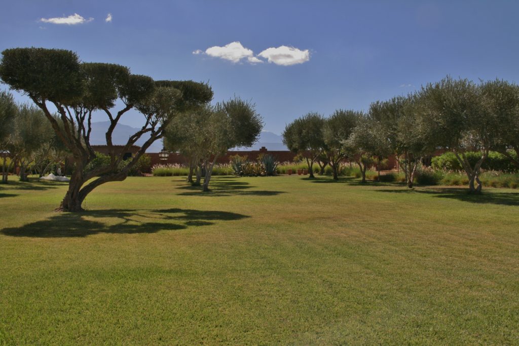 villamarrakech11