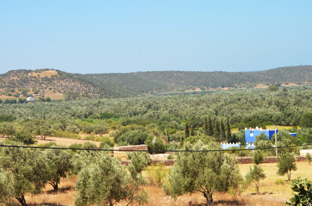 Essaouiravilla10