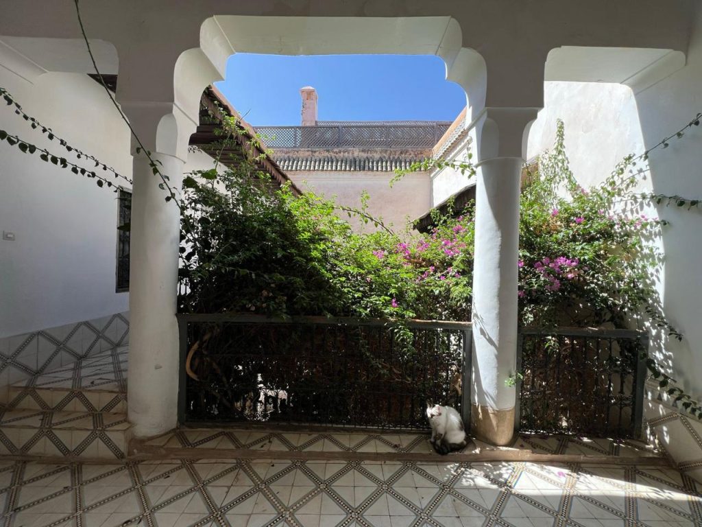 0BABF24C-7746-47A7-ACCD-F2639ECA5BB9