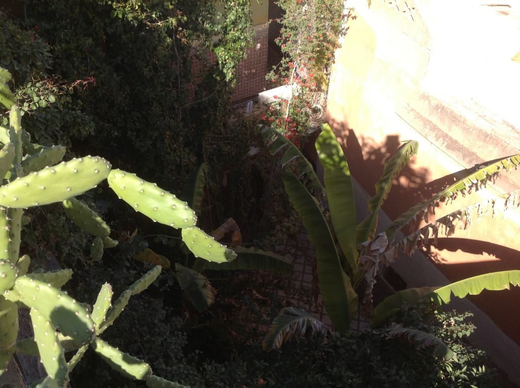 Marrakechriad1