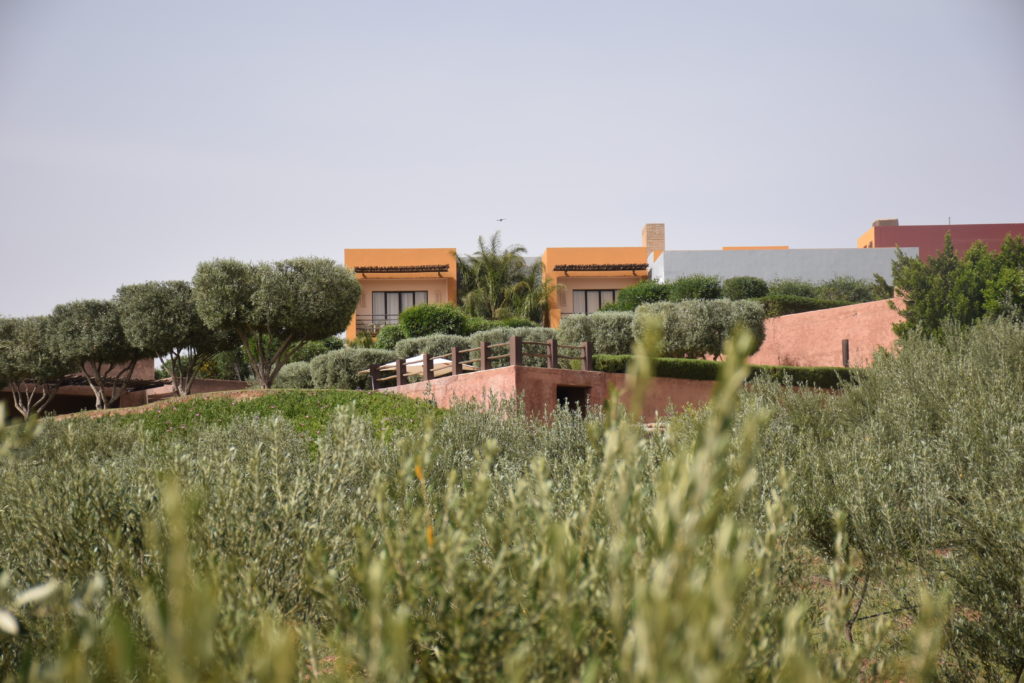 villamarrakech1