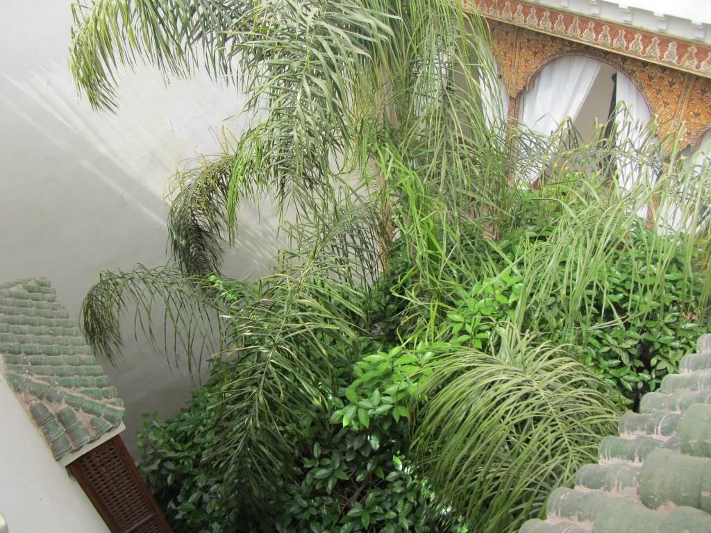 riadmarrakech1