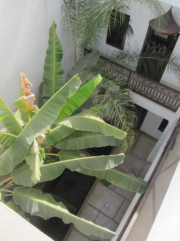 riadmarrakech9