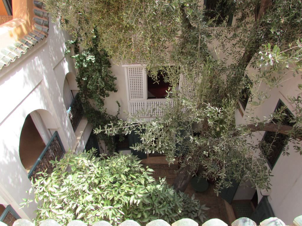 riadmarrakech9