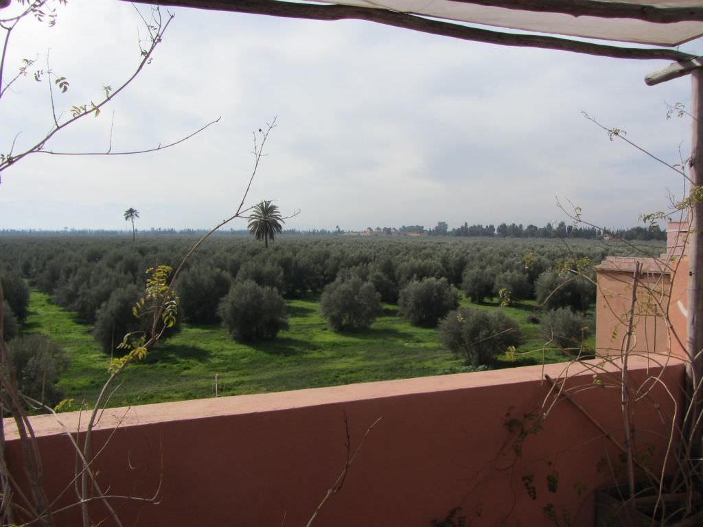 marrakechriad11