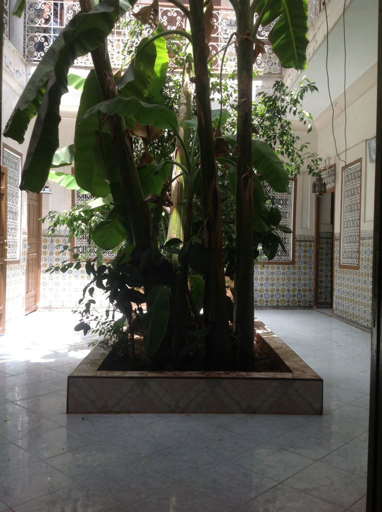 Marrakechriad8