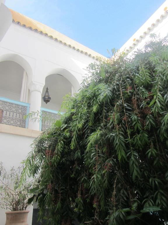 riadmarrakech11
