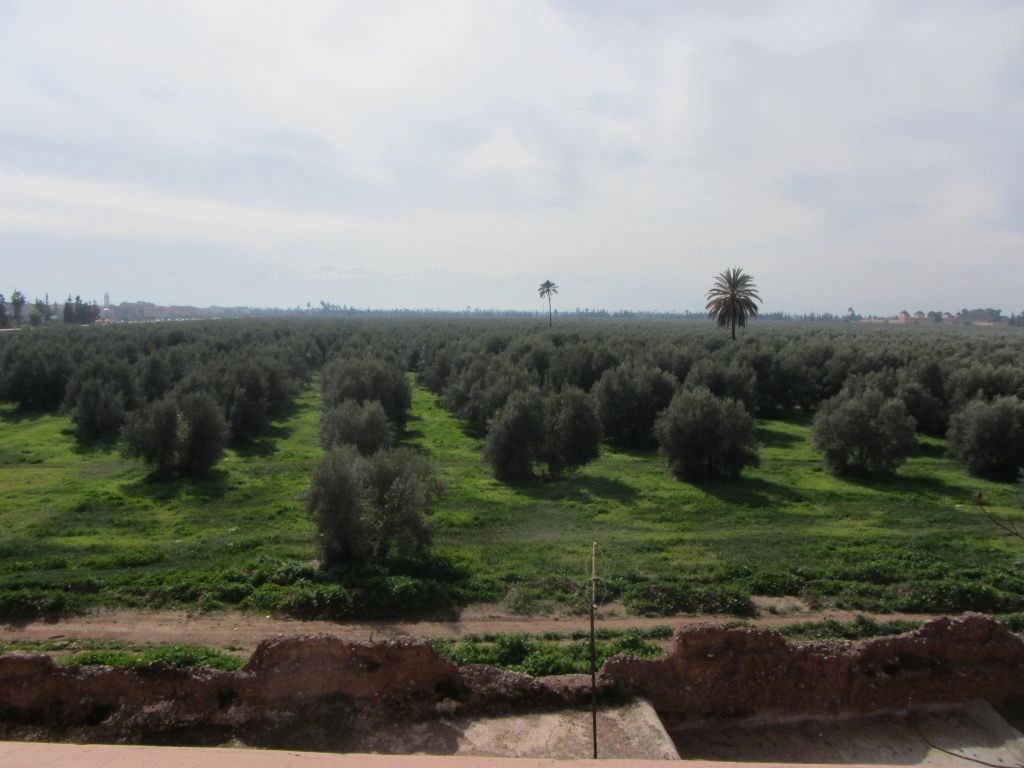 marrakechriad12