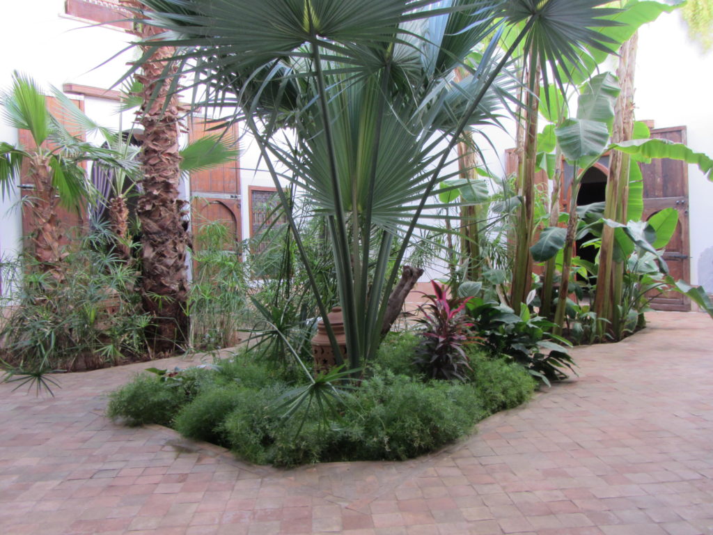 riadmarrakech11