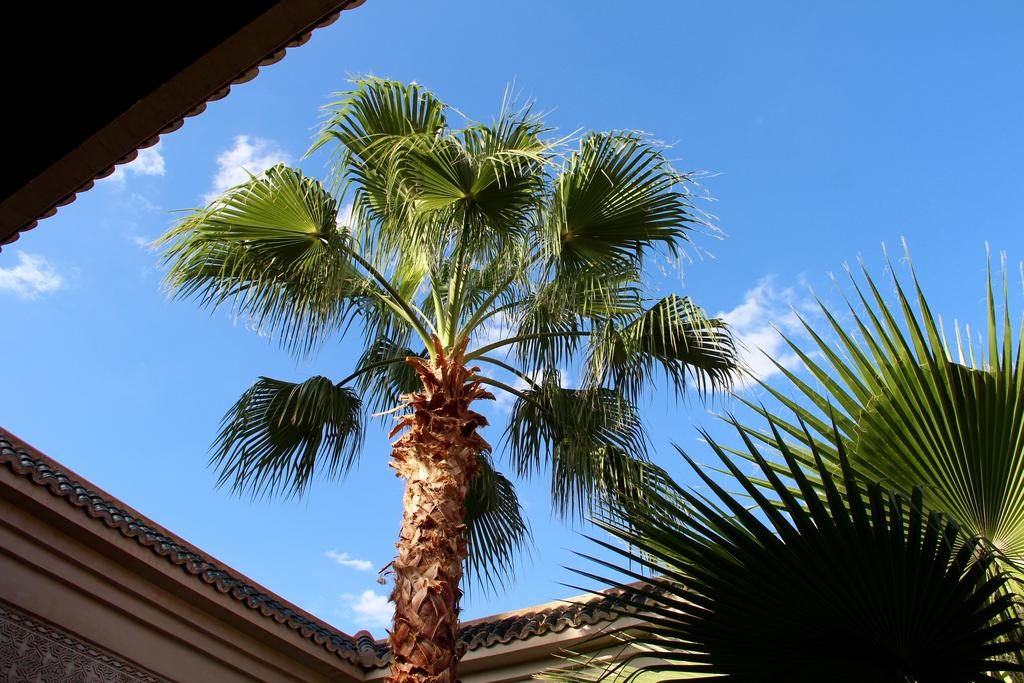 Riads-for-sale-Marrakech-Riad-for-sale-Marrakech-Marrakech-Realty-Marrakech-Real-Estate-Immobilier-Marrakech-Riads-a-vendre-Marrakech-21.jpg