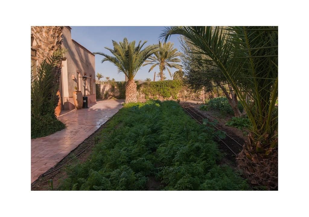 Villas-for-sale-Marrakech-villa-for-sale-Marrakech-Marrakech-Realty-Marrakech-real-estate-Immobilier-Marrakech-villa-a-vendre-Marrakech-07.jpg