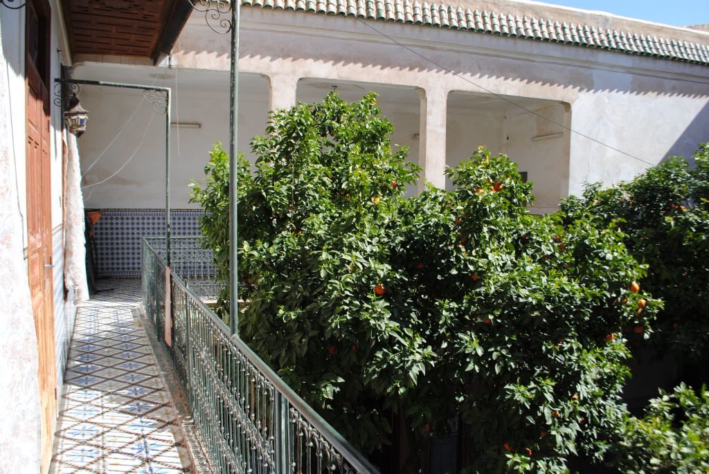 Marrakechriad7
