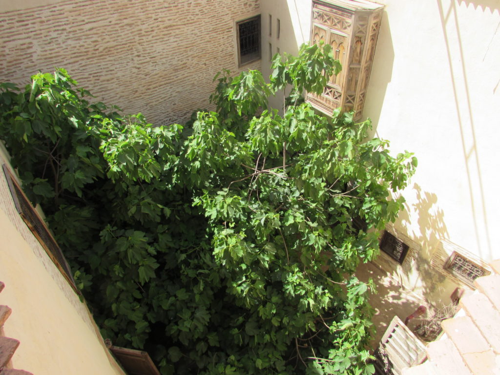 riadmarrakech11