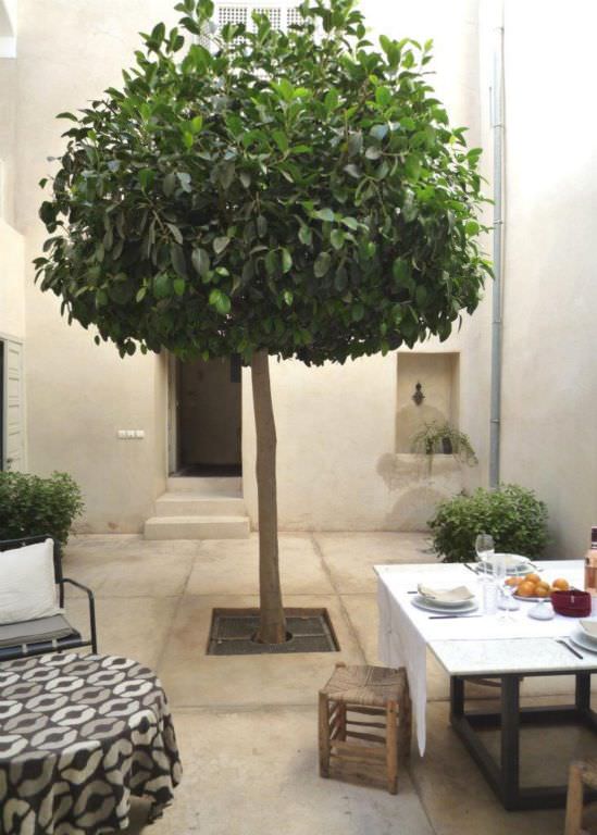 riadmarrakech15