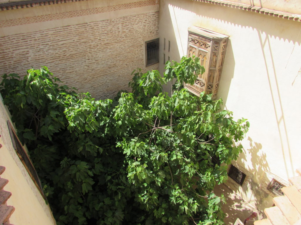 riadmarrakech12