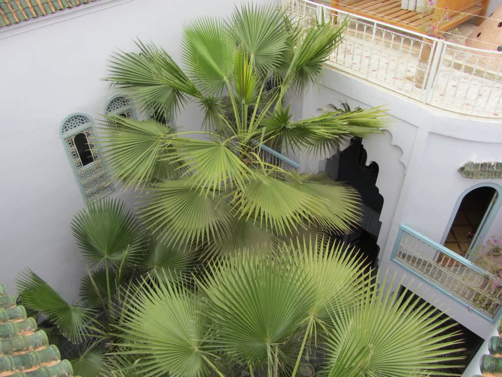 riadmarrakech13