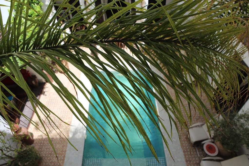 Riads-for-sale-Marrakech-Riad-for-sale-Marrakech-Marrakech-Realty-Marrakech-Real-Estate-Immobilier-Marrakech-Riads-a-vendre-Marrakech-01.jpg