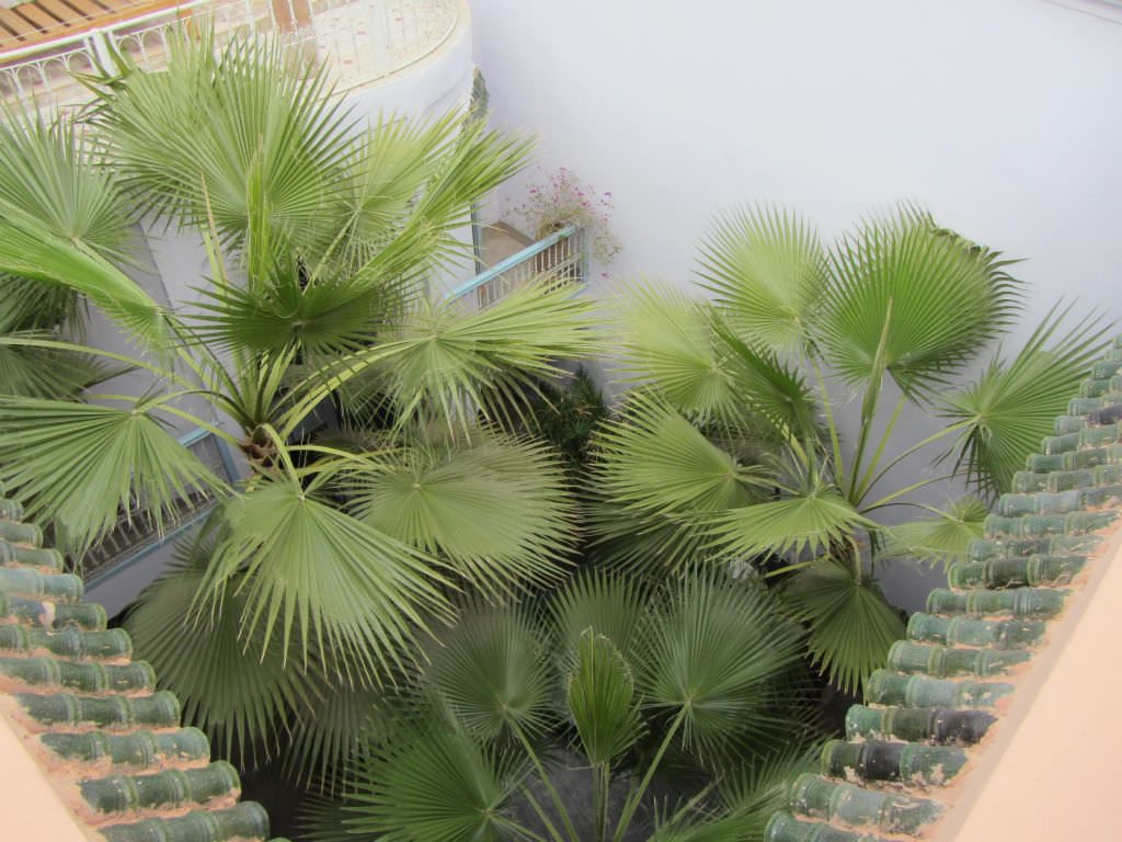 riadmarrakech15