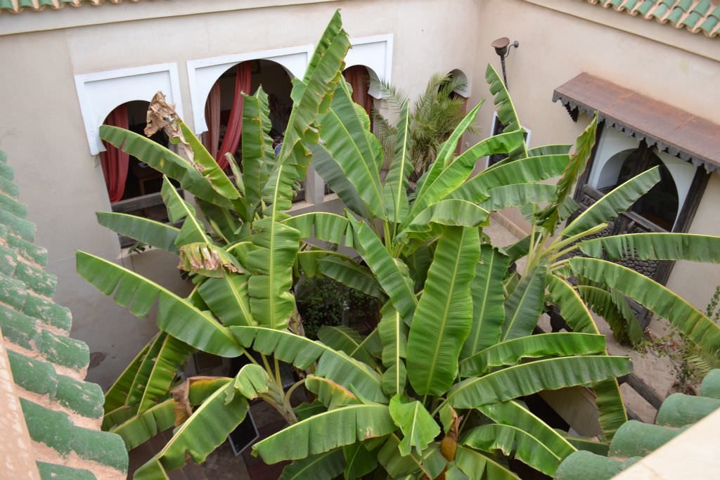 riadmarrakech13