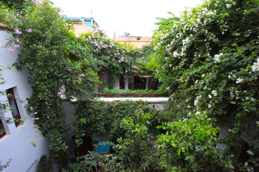 riadmarrakech16