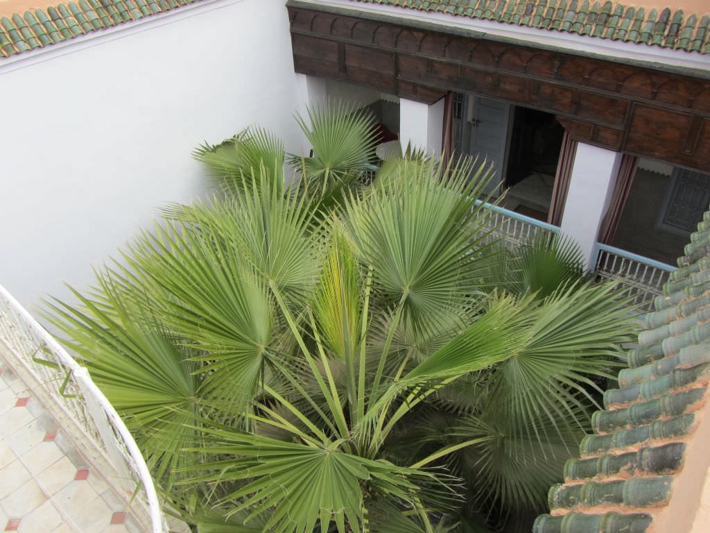riadmarrakech17