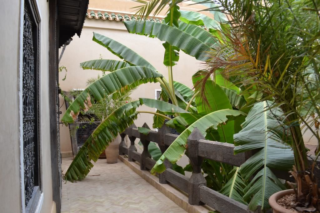 riadmarrakech15