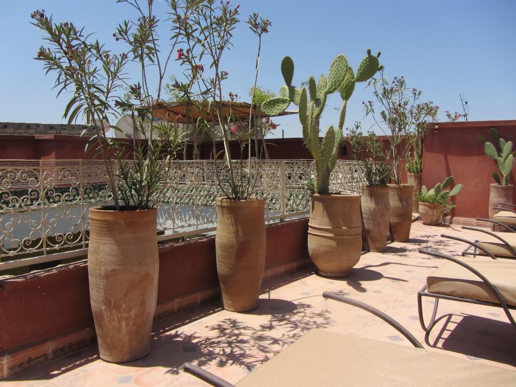 riadmarrakech19