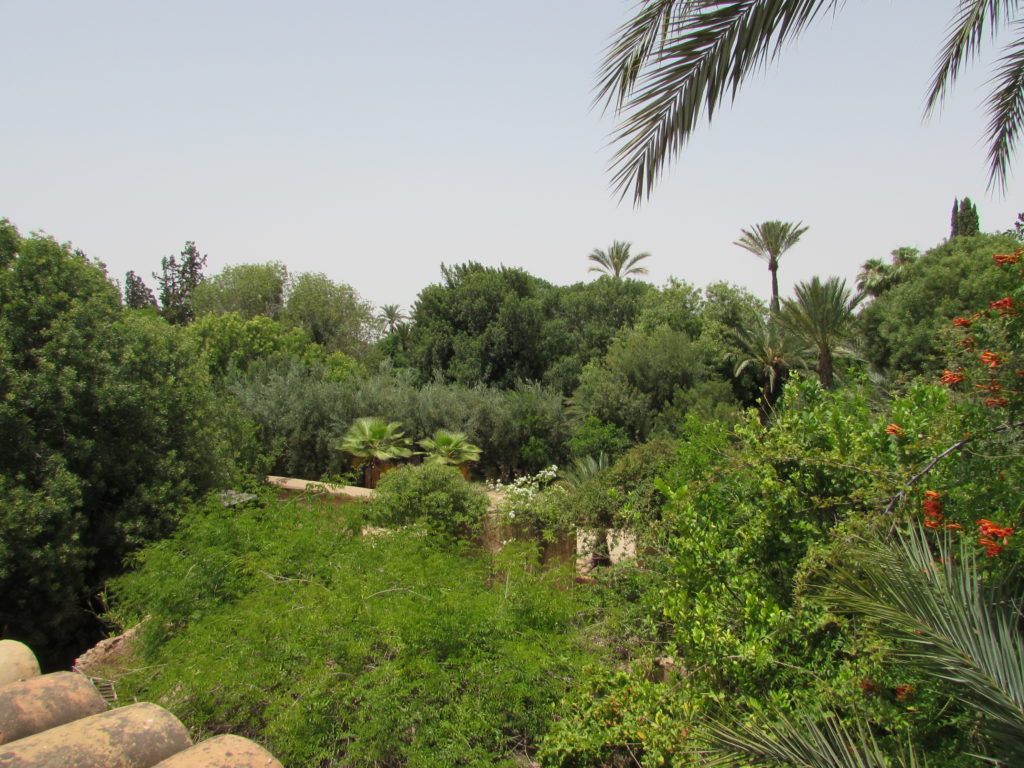 villamarrakech3
