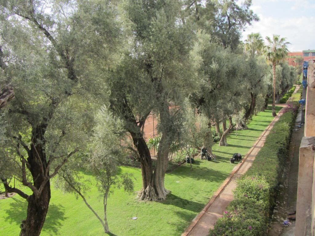 marrakechriad4
