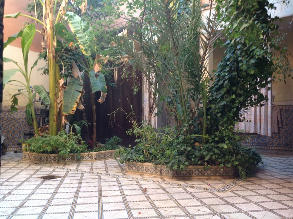 Marrakechriad2