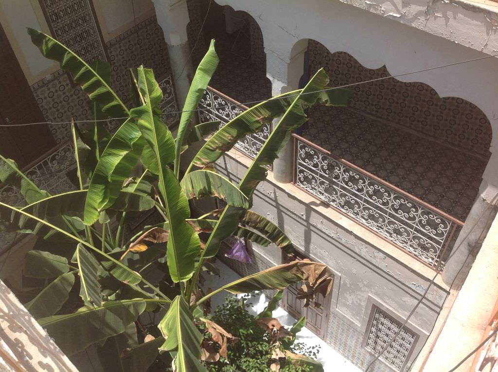 Marrakechriad2