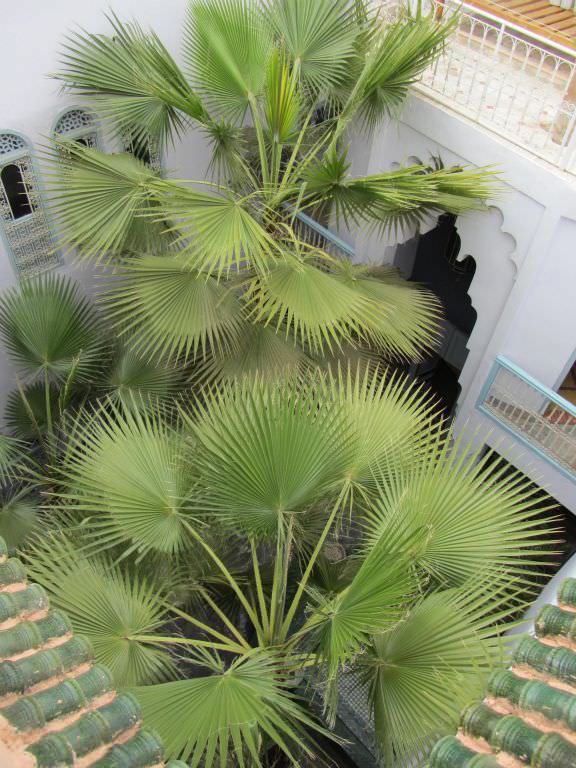 riadmarrakech2
