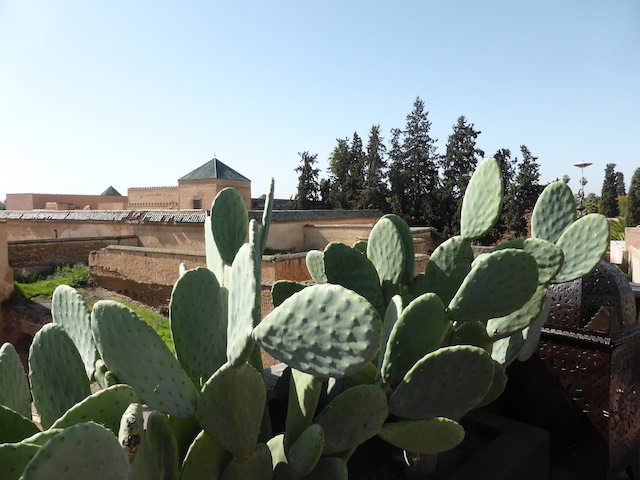 riadmarrakech2