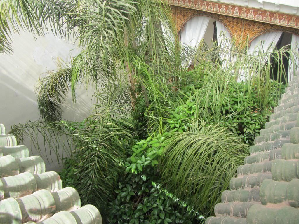 riadmarrakech2