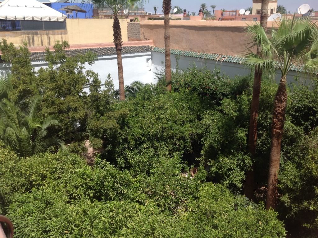 riadmarrakech19
