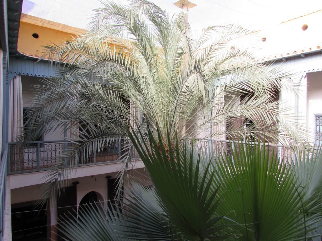 riadmarrakech19