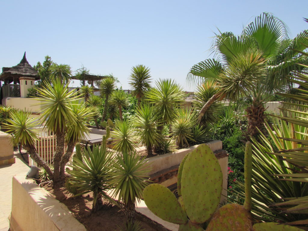 riadmarrakech22