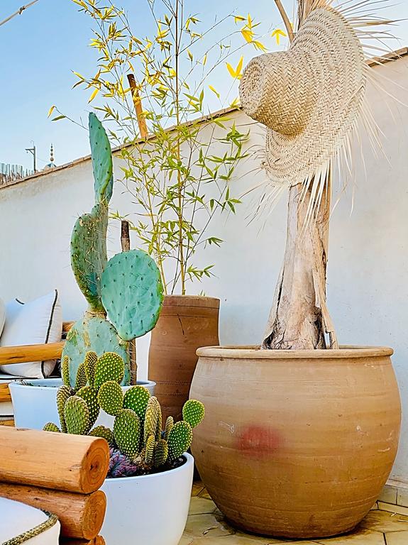 Riads-for-sale-Marrakech-Riad-for-sale-Marrakech-Marrakech-Realty-Marrakech-Real-Estate-Immobilier-Marrakech-Riads-a-vendre-Marrakech-7701.jpg