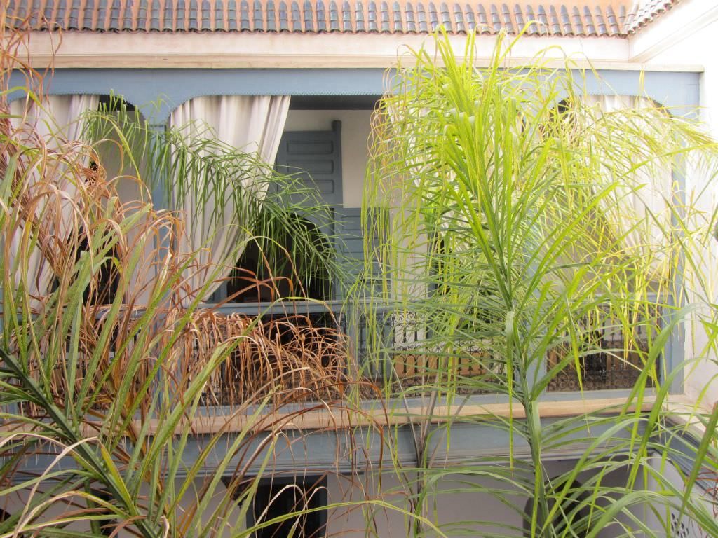 marrakechriad25