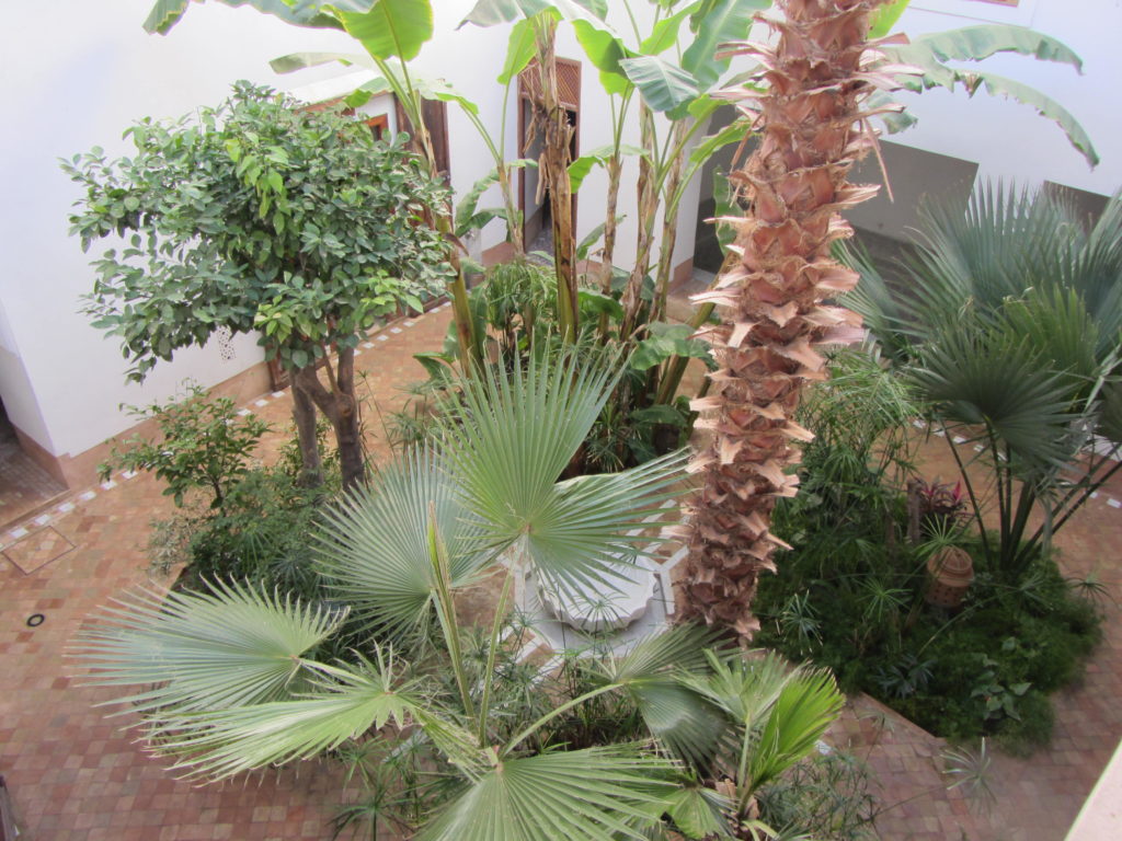 riadmarrakech24