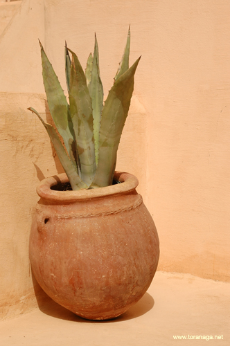 riadmarrakech27