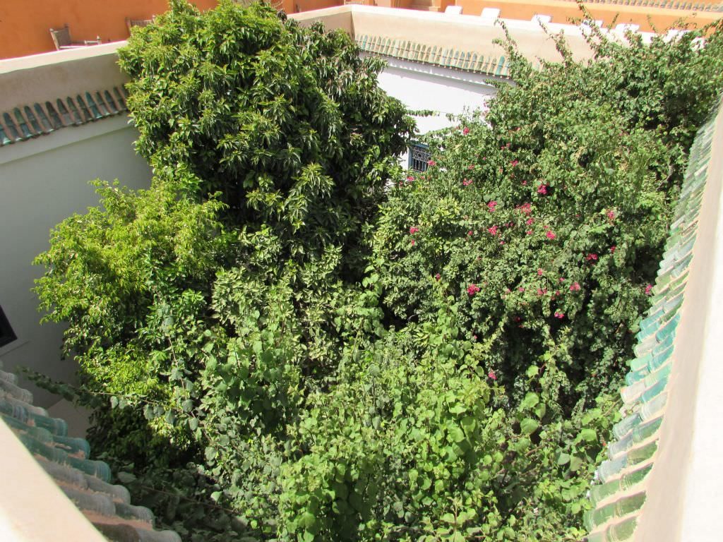 riadmarrakech26