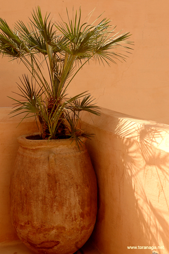 riadmarrakech28