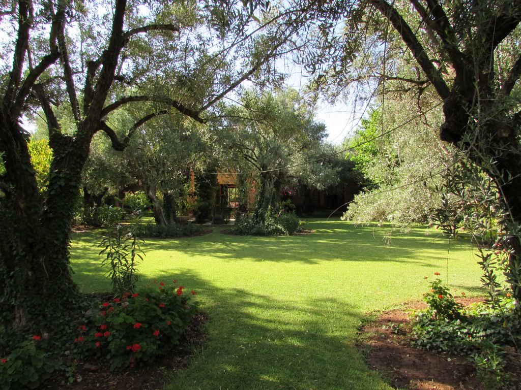 villamarrakech3