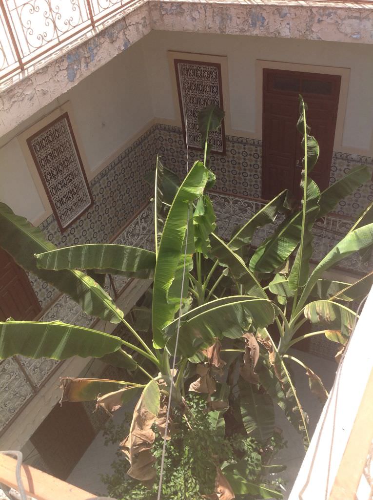 Marrakechriad2