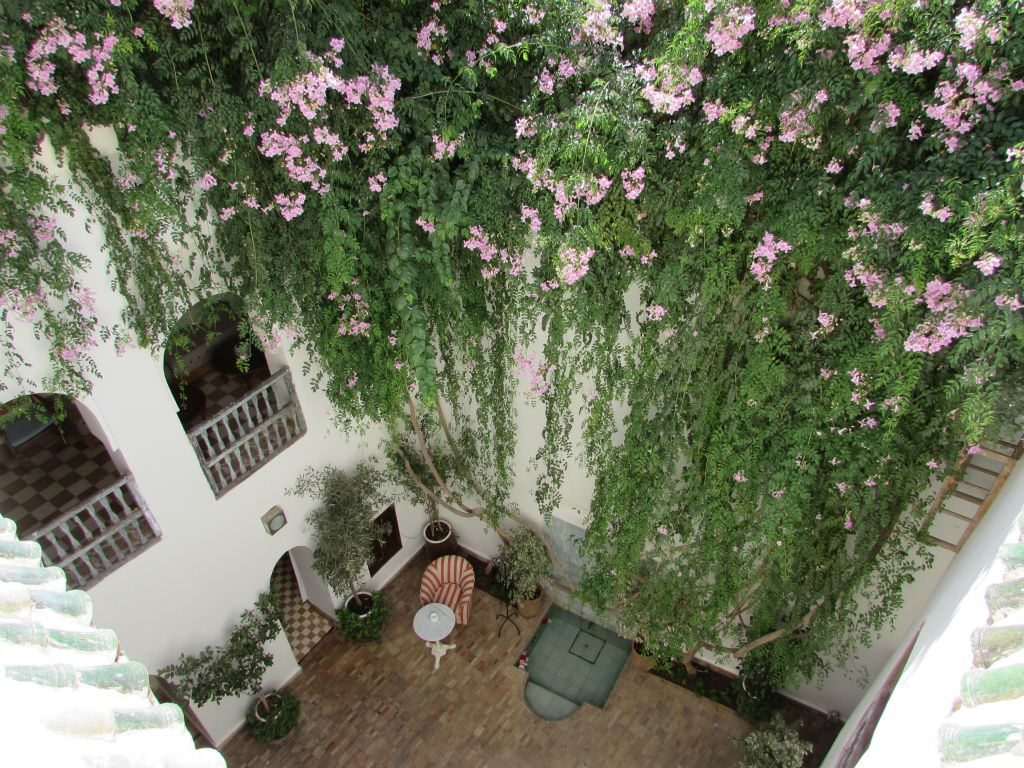 riadmarrakech3