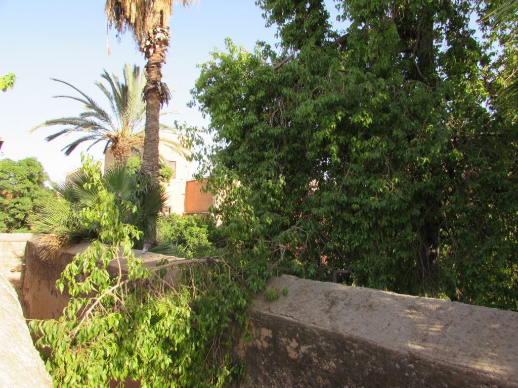 Marrakechriad2