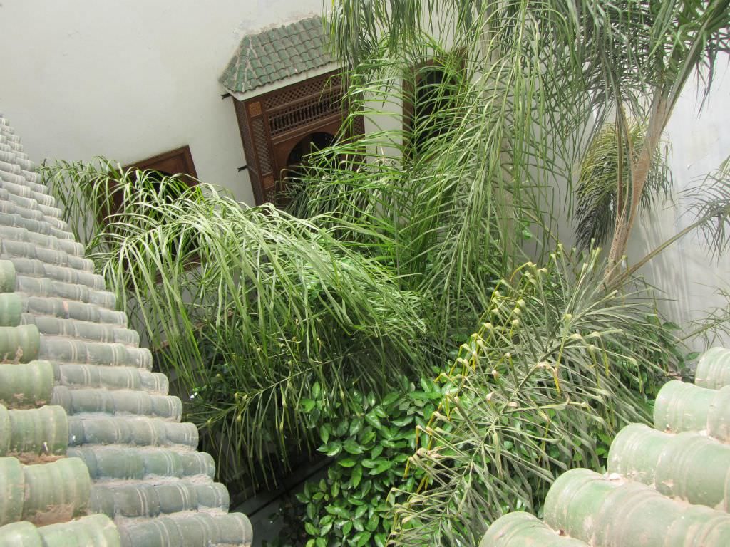 riadmarrakech3