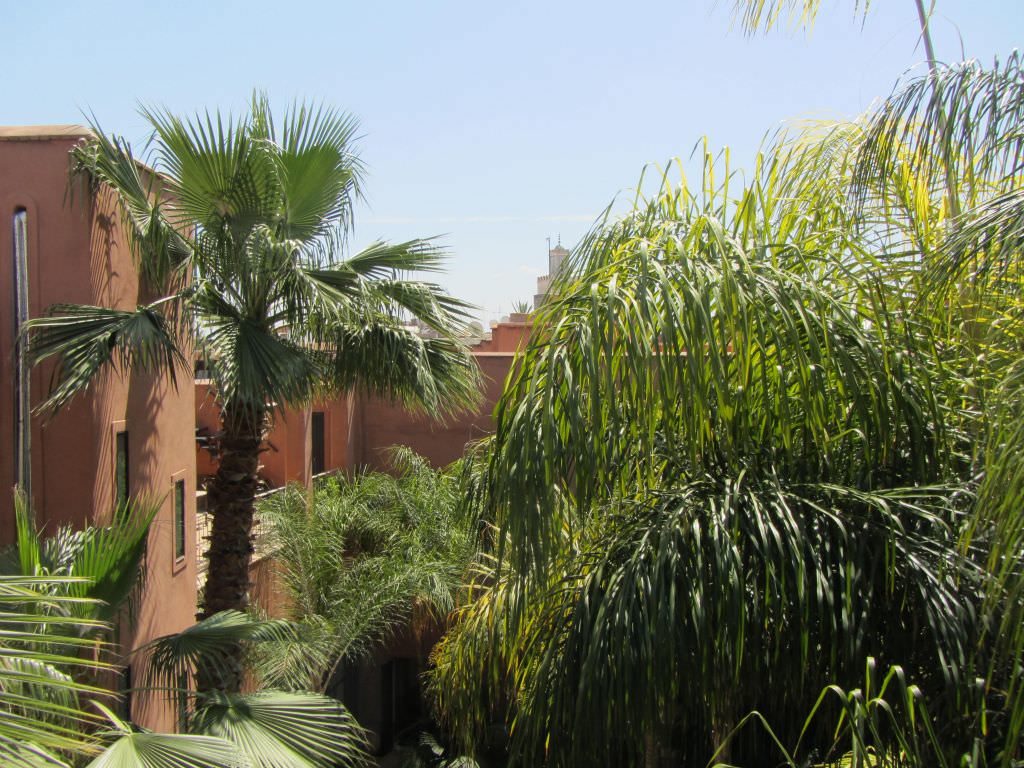 marrakechriad29