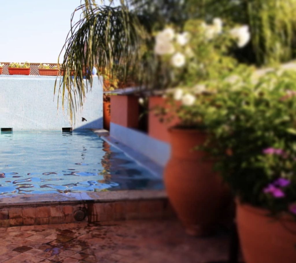 313F8286-11A5-40BD-9882-650374E13EE1